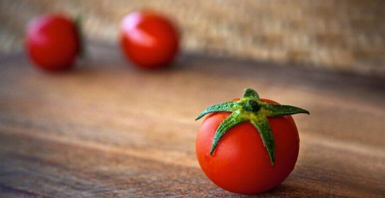 close up of a tomato with two tomatoes in the background
